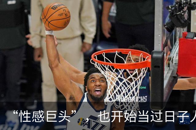 “性感巨头”，也开始当过日子人了