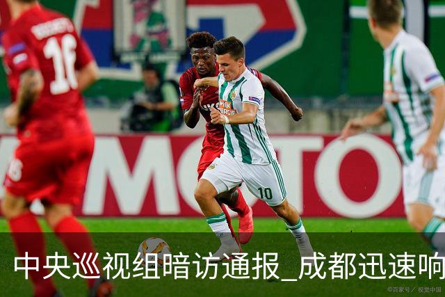 中央巡视组暗访通报 成都迅速响应立案拟顶格处罚