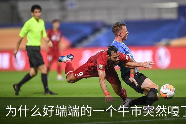 为什么好端端的一个牛市突然嘎了？走成这样子？
