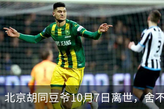 北京胡同豆爷10月7日离世，舍不得花钱硬扛小病留给世人一声叹息