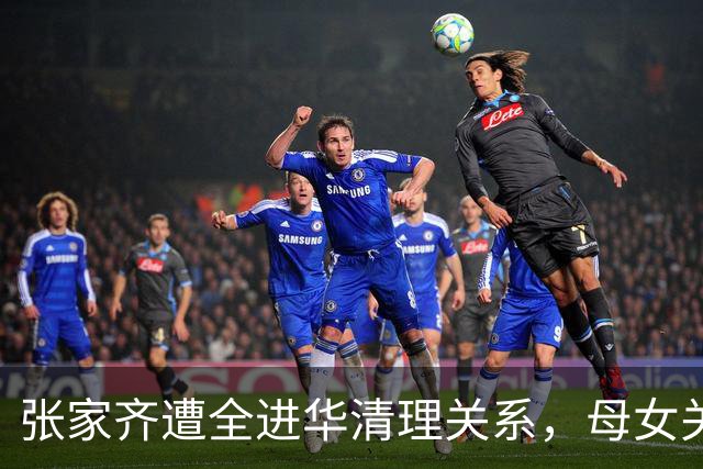 张家齐遭全进华清理关系，母女关系迎来反转，专业人士也束手无策