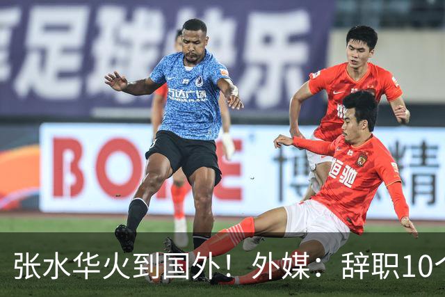 张水华火到国外！外媒：辞职10个月赚500万 很多人一辈子赚不到