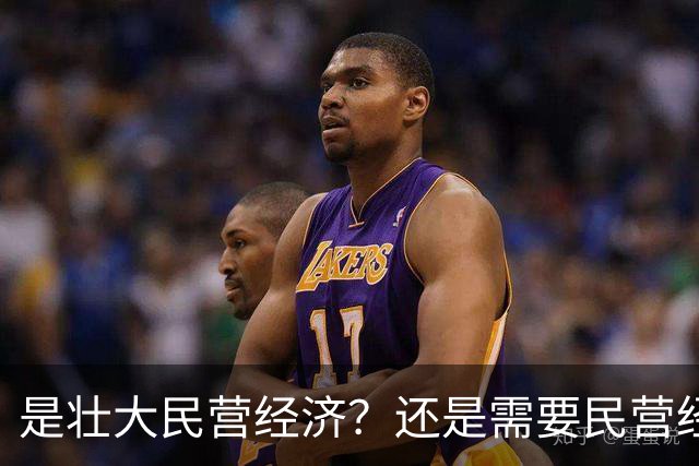 是壮大民营经济？还是需要民营经济？