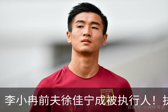 李小冉前夫徐佳宁成被执行人！执行标的超两千万，曾被曝去年离婚