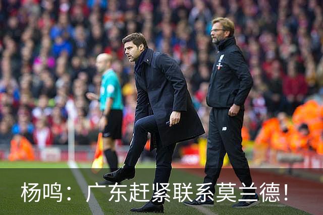 杨鸣：广东赶紧联系莫兰德！