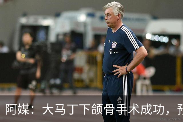 阿媒：大马丁下颌骨手术成功，预计将休战一个半月